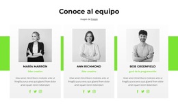 Consultores En Línea