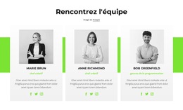 Conseillers En Ligne - Modèle De Site Web Réactif