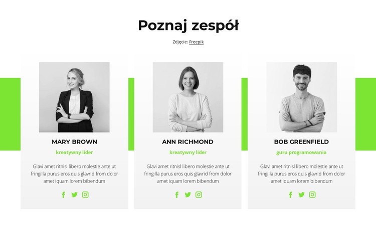 Konsultanci online Szablon CSS