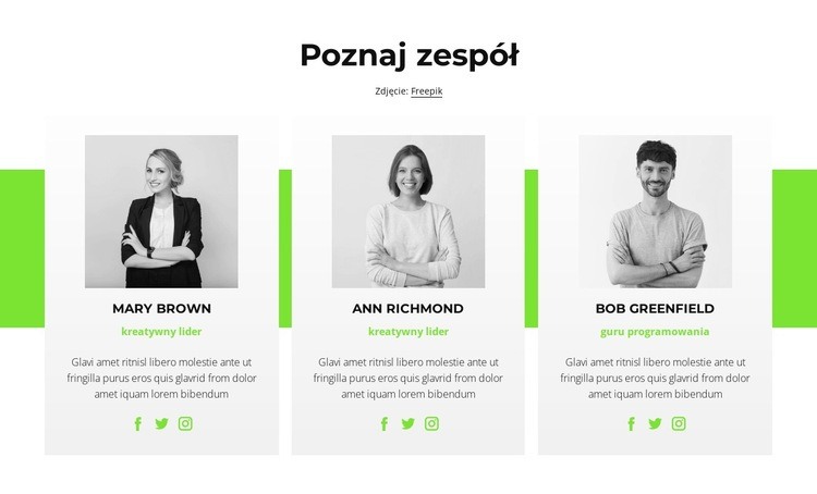 Konsultanci online Szablon HTML5