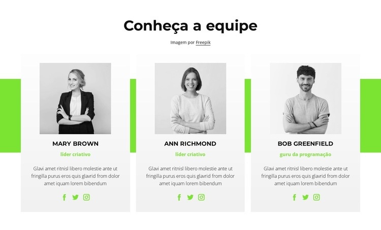 Consultores on-line Modelos de construtor de sites