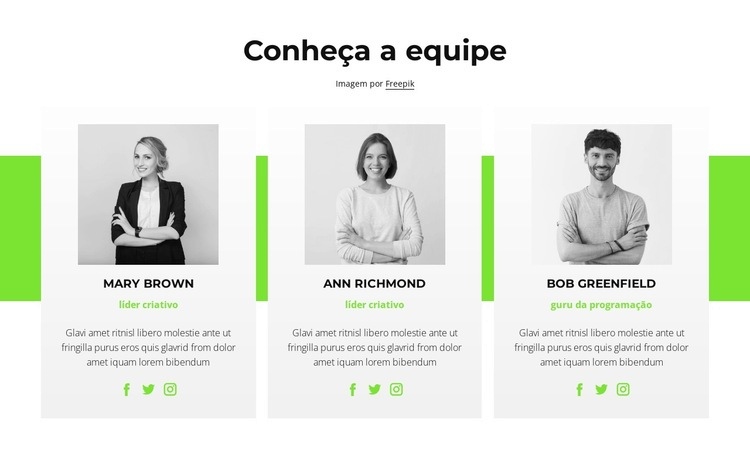 Consultores on-line Design do site