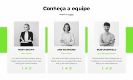 Consultores On-Line