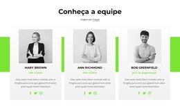 Consultores On-Line – Modelo De Site Responsivo