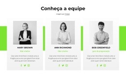 Consultores On-Line Velocidade Do Google