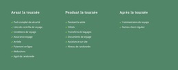 Texte Sur Fond Coloré - Modèle De Site Web Professionnel