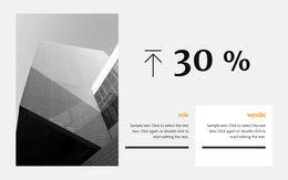 Oszacowanie Zysku Z Projektu - Profesjonalny Motyw WordPress