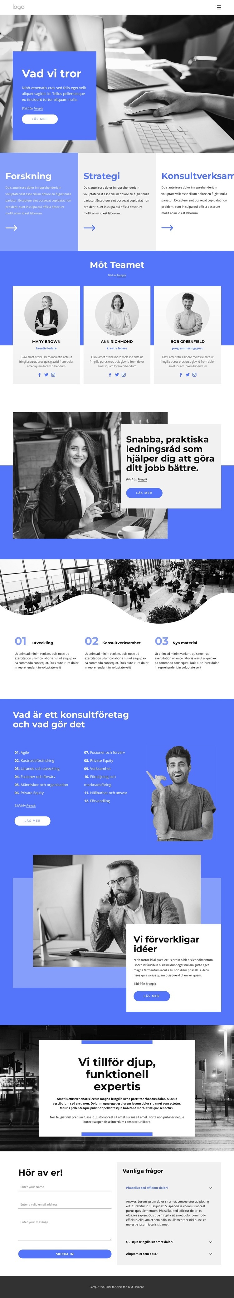 Forskningsstrategigrupp HTML-mall