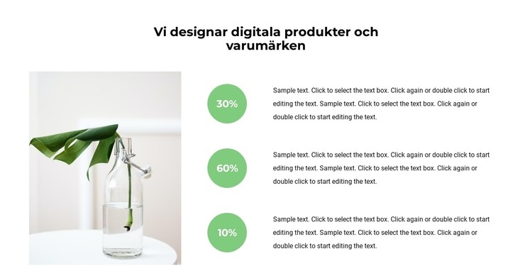 Hur många lyckade projekt CSS -mall