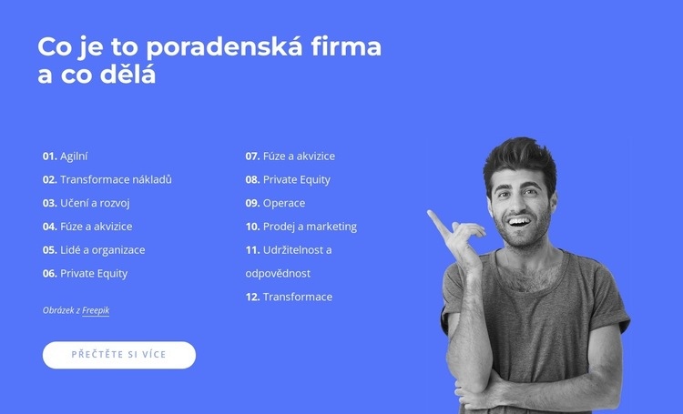 Profesionální poradenství, vedení a praktická řešení Šablona HTML