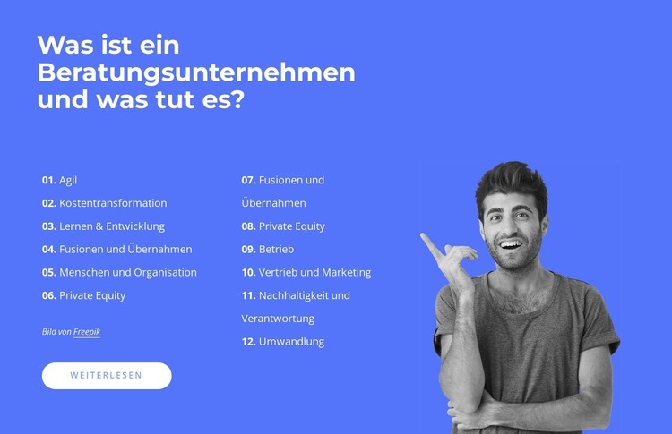 Professionelle Beratung, Anleitung und umsetzbare Lösungen HTML-Vorlage