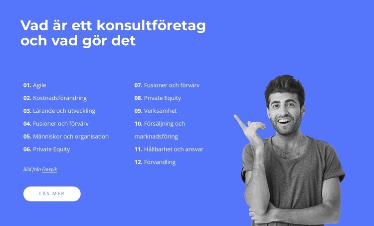 Professionella råd, vägledning och praktiska lösningar HTML-mall