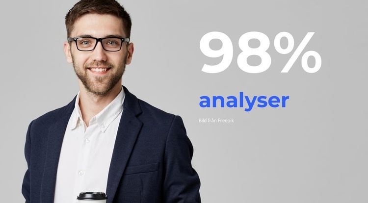 Bästa analytiker CSS -mall