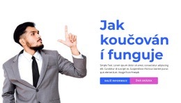 Jak Tento Kurz Funguje