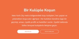 Başlık, Metin Ve Iki Düğme - Profesyonel Web Sitesi Tasarımı