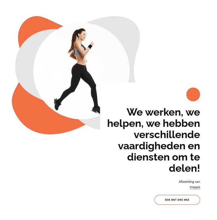 We hebben verschillende vaardigheden CSS-sjabloon