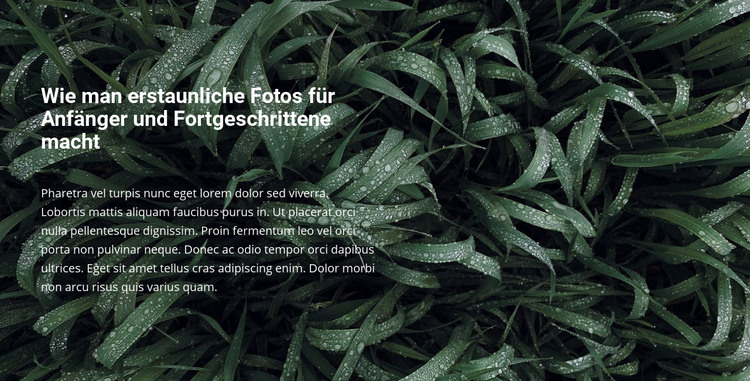 Titel und Text auf einem schönen Foto HTML-Vorlage