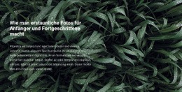 Titel Und Text Auf Einem Schönen Foto – Gebrauchsfertige HTML5-Vorlage