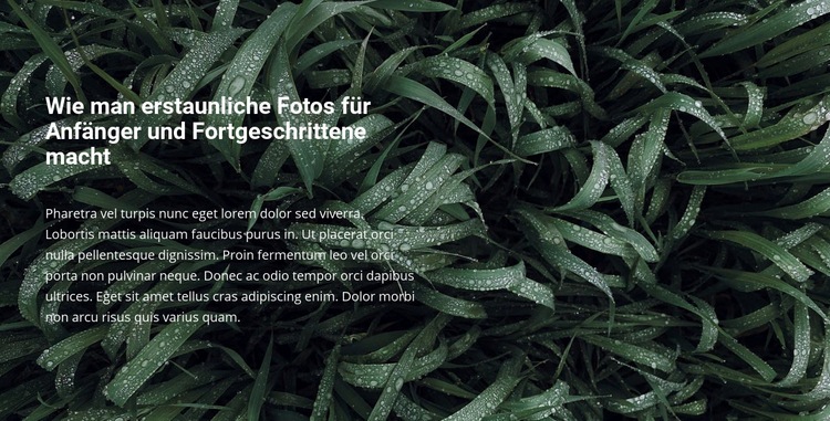 Titel und Text auf einem schönen Foto Website design