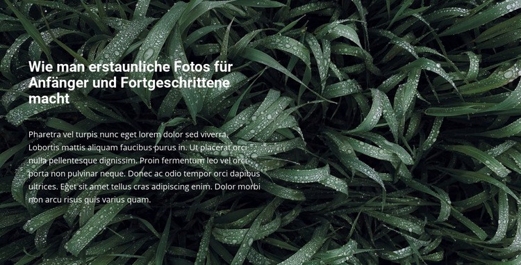 Titel und Text auf einem schönen Foto Website-Modell