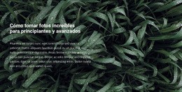 Título Y Texto En Una Hermosa Foto Diseño De Sitios Web