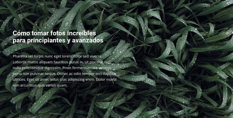 Título y texto en una hermosa foto Plantilla CSS