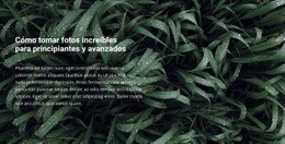 Plantilla Multipropósito De Una Página Para Título Y Texto En Una Hermosa Foto