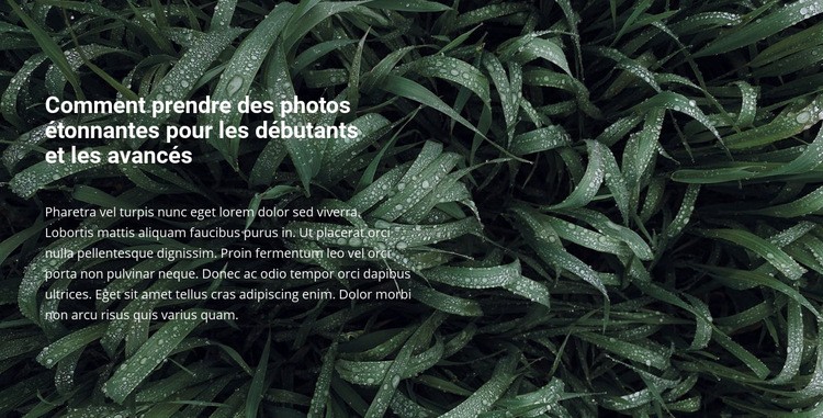 Titre et texte sur une belle photo Conception de site Web