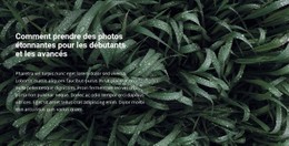 Titre Et Texte Sur Une Belle Photo Modèle De Site Web CSS