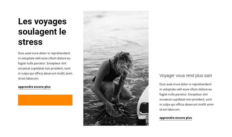 Divertissement de voyage Modèle HTML