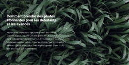 Modèle Polyvalent D'Une Page Pour Titre Et Texte Sur Une Belle Photo