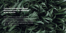 Titre Et Texte Sur Une Belle Photo – Thème WordPress Génial