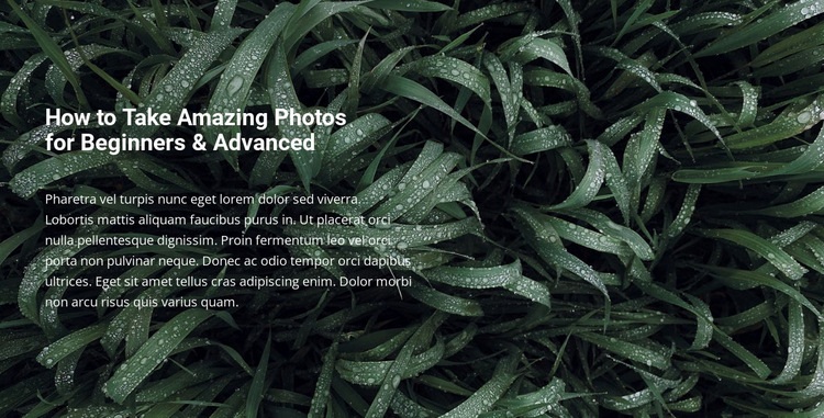Title and text on a beautiful photo Homepage Design