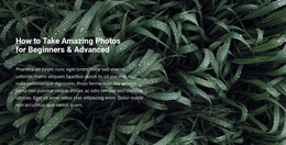 Title And Text On A Beautiful Photo - Ready To Use HTML5 Template