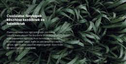 Cím És Szöveg Egy Gyönyörű Fotón - HTML-Sablon Letöltése