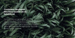 Cím És Szöveg Egy Gyönyörű Fotón #Website-Design-Hu-Seo-One-Item-Suffix