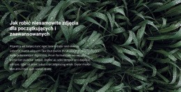 Tytuł I Tekst Na Pięknym Zdjęciu Szablon