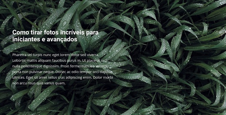 Título e texto em uma bela foto Construtor de sites HTML