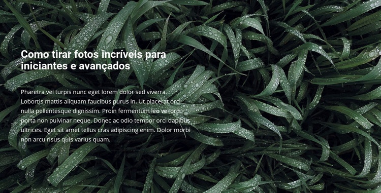 Título e texto em uma bela foto Design do site