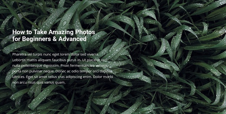Title and text on a beautiful photo Squarespace Template Alternative