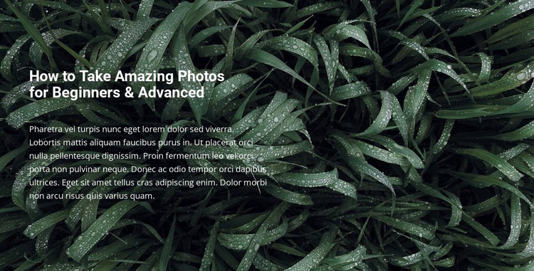 Title and text on a beautiful photo Webflow Template Alternative