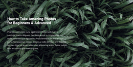 Title And Text On A Beautiful Photo CSS Website Template