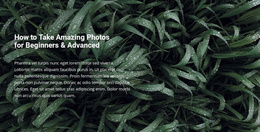 Title And Text On A Beautiful Photo - Landing Page Template