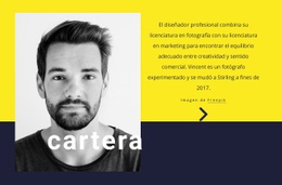 Diseñador Grafico - Creador De Sitios Web