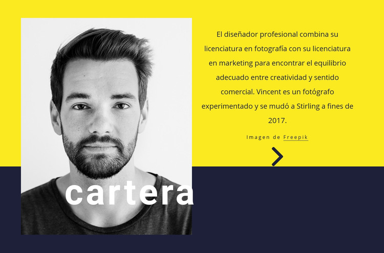 Diseñador grafico Plantilla HTML