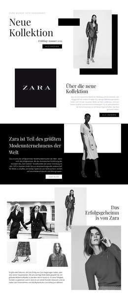 Kostenloses WordPress-Theme Für Zara Sammlung