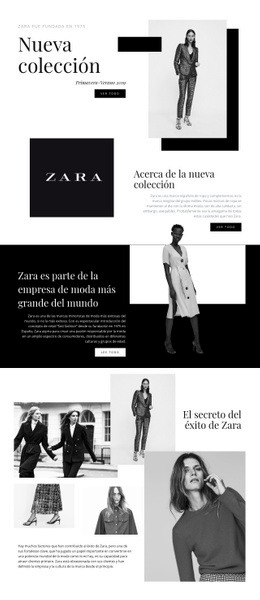 Creador De Sitios Web Multipropósito Para Colección Zara