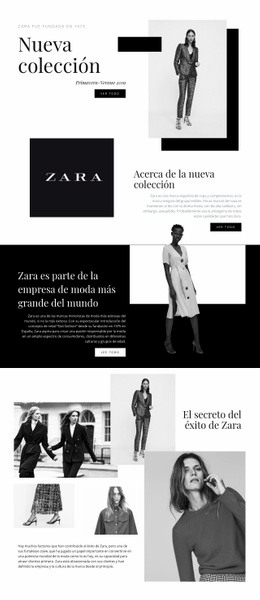 Colección Zara - Maqueta De Sitio Web De Arrastrar Y Soltar