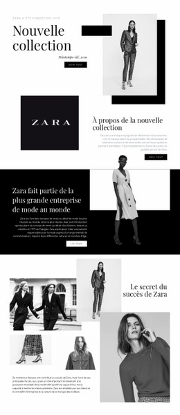 Collection Zara - Inspiration Pour La Conception De Sites Web