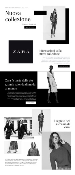 Collezione Zara - Ispirazione Per Il Design Del Sito Web